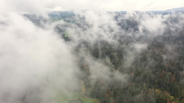 Flugaufnahmen Von Luftaufnahmen Mit Drohne Bayerischen Wald Über Baumwipfelwald Bei — Stockvideo