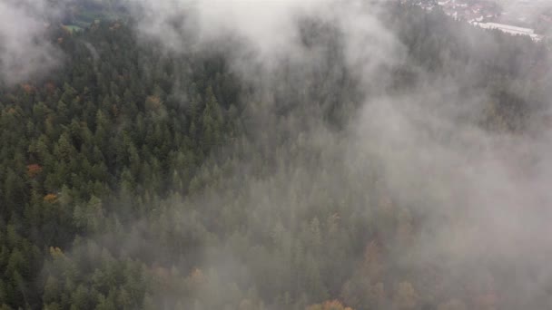 Flugaufnahmen Von Luftaufnahmen Mit Drohne Bayerischen Wald Über Baumwipfelwald Bei — Stockvideo