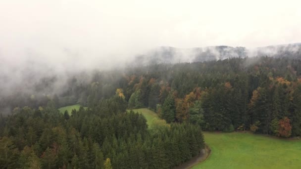 Langsamer Abstieg Von Luftaufnahmen Mit Drohne Bayerischen Wald Über Baumwipfelwald — Stockvideo