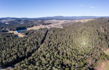 Bavyera 'da Grafenau yakınlarındaki Grossarmschlag köyünün insansız hava aracı ile çekilmiş bir görüntü.