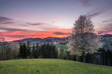 Almanya 'nın Bavyera Ormanı' ndaki çayır tarlalarında ve dağlarda ağaç ve yüksek av koltuklarıyla manzara ve gün batımı