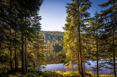Sonbaharda Kleiner Gölü 'nün etrafında daire şeklinde yürüyüş patikası, Bavyera, Almanya