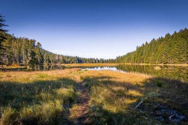 Sonbaharda Kleiner Gölü 'nün etrafında daire şeklinde yürüyüş patikası, Bavyera, Almanya