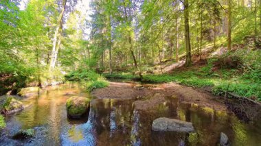 Almanya, Bavyera 'da Falkenstein yakınlarındaki Rettenbach' ta, Hllbach nehrinin Hllbachtal doğa rezervinin görüntüleri.