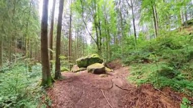 Yoğun Orman Antik Doğal Manzara 'da Büyük Yosun Kaplamalı Granit Kaya oluşumu