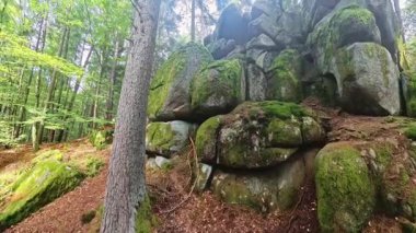 Yoğun Orman Antik Doğal Manzara 'da Büyük Yosun Kaplamalı Granit Kaya oluşumu