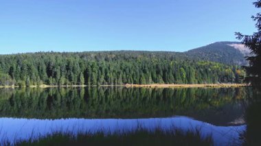 Bavyera Ormanı 'ndaki muhteşem yansımalı orman gölü.