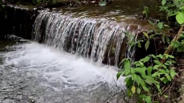 Mandi, Himachal Pradesh, Hindistan 'daki yemyeşil bir ormanda çağlayan, ağır muson yağmurları nedeniyle oluşan küçük bir şelaleyi yavaş çekmektedir..