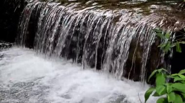 Mandi, Himachal Pradesh, Hindistan 'daki gür yağmur ormanlarında küçük mevsimlik bir şelalenin oluşumunu gösteriyor..