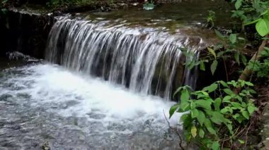 Mandi, Himachal Pradesh, Hindistan 'daki gür yağmur ormanlarında küçük mevsimlik bir şelalenin oluşumunu gösteriyor..