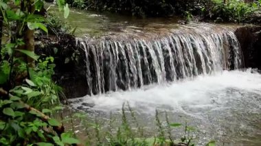 Mandi 'nin bereketli ormanları Himachal Pradesh' teki muson yağmurları sırasında bir şelale oluştururken yavaş çekim küçük bir akıntıyı hızla yakalar..