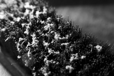 Black and white abstract macro close up of bristle texture covered in dust. This monochrome detail shot shows mysterious and forgotten object with rough surface