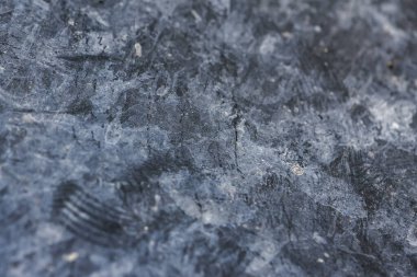 Cold and mysterious abstract texture background of dark gray stone surface. Macro close up view of rough, weathered mineral detail and intricate frost pattern