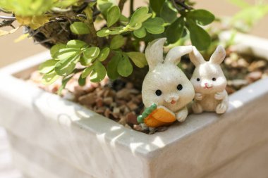 Saksıda süs olarak kullanılan sevimli tavşan heykeli çifti. Sevimli minyatür havuç tutuşu büyüleyici ve mutlu bir aşk ve birliktelik sahnesi yaratır.