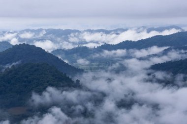 Yumuşak beyaz bulutlar ve sisle kaplanmış yemyeşil dağlar dingin ve geniş doğal manzaralar yaratıyor. Sakin atmosfer, derin düşüncelere ve barışçıl yansımaya davetiye çıkarır.