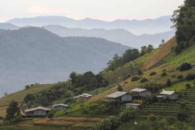 Yeşil dağ tepesinde geleneksel evleri olan sakin kırsal kesimde sakin köyler sergileniyor. Bu doğal kır manzarası huzuru çağrıştırıyor.
