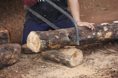 Yetişkin bir insan büyük bir keresteyi özenle kesiyor. Odaklanma çabası gösteriyor. Pruva testeresi keresteyi keserek talaş toprağı oluşturuyor. zor iş önemli bir iş gerektirir.