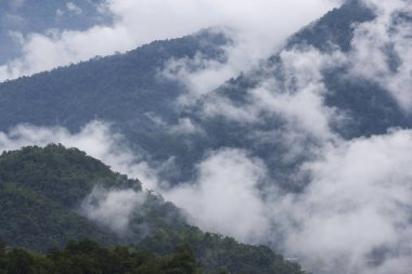 Yoğun yeşil orman ve atmosferik bulut örtüsünü gösteren görkemli dağ manzarası. Huzurlu doğa, sisli ve sisli bir manzara yaratır. Uzak tepeleri nazikçe gizler ve barışçıl çağrışımlar yapar.