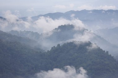 Puslu, yemyeşil ağaçlarla kaplı bir dağ sırası. Zirveler arasında bulutlar sürükleniyor, atmosferik ve sakin bir manzara yaratıyor. Barışçıl doğal ortam huzur ve huzur verici duyguları çağrıştırıyor.