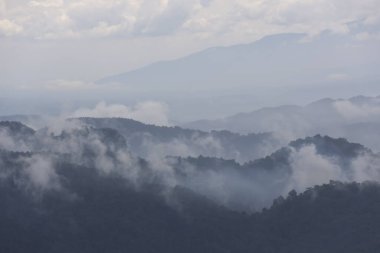 Görkemli dağ manzarası, örtülü ruhani sis ve yumuşak sis. Bulutların arasından yükselen uzak tepeler huzurlu ve huzurlu bir manzara yaratıyor. Atmosferik sis derin bir his katar.