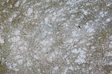 Benekli grunge dokusunu gösteren kaba soyut bir arkaplan. Yeşil ve beyaz kırsal desenli eski, yıpranmış bir taş yüzey doğal ve toprak bir zemin oluşturuyor.