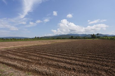 Mavi gökyüzünün altında tarım için hazırlanmış kahverengi toprağıyla huzurlu tarlalar. Kırsal alan, kırsal kesimlerde dağ arkaplanına sahip toprakta çizgiler gösteriyor.