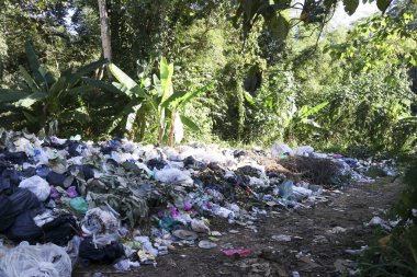 Ormandaki yasadışı çöplük çevresel kirliliğe ve hasara neden oluyor. Doğadaki büyük atık yığını ciddi atık depolama sorunlarını ve insan ihmallerini temsil ediyor.