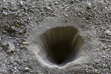 Karınca larva konisi şeklinde kumda bir çukur tuzağı. Doğada akıllı böcek avlama deliği, hasta pususu hissi yaratmak ve vahşi doğada hayatta kalma mücadelesi vermek.