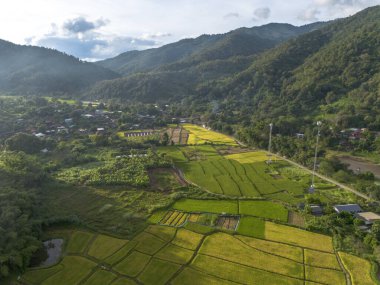 Yeşil dağ vadisinde yuva yapmış kırsal köyün sakin hava manzarası. Güzel altın çeltik tarlaları hasat için hazır tarım ve huzurlu yaşam için.