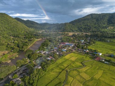 Tayland 'da nehir ve çeltik tarlaları olan yeşil dağ vadisindeki köyün huzurlu hava manzarası. Bu güzel doğa manzarası huzurlu ve huzurlu kırsal bölgeleri yakalar.