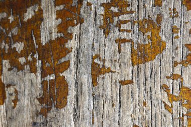 Eski ahşabın kırsal dokusunu gösteren soyut bir arka plan. Yıpranmış yüzey boyaları soyar, nostaljik duygularla dolu eski ve sıkıntılı desenler yaratır.