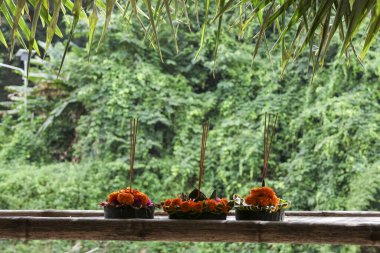 Serene Balili kanang sari çiçeği ve ahşap üzerinde tütsü ile sunulur. Bali 'de gelenek, kültür ve doğayı gösteren ormandaki barışçıl Hindu ritüeli