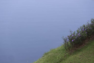 Sakin su ve sakin manzara barışçıl minimalist bir zemin oluşturur. Göl kenarındaki yeşil çimenli tepenin sakin doğa manzarası sessiz bir yalnızlık ve kopyalama alanı sunuyor.