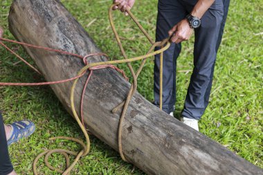 Ağaç kütüğünün etrafına ip bağlayan odaklanmış biri. Yeşil çimen sergilenen işbirliği ve kararlı çaba üzerine açık hava mücadelesi için takım çalışması