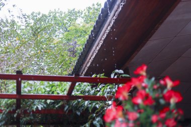 Yağmur damlalarının ahşap çatıdan düştüğü sakin bir manzara. yumuşak odak kırmızı çiçek ön planda doğal arka plan renk ekler rahat ev için