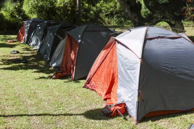 Kamp alanındaki yeşil çimlere kurulmuş renkli bir kamp çadırı. Doğada yaz macerası, eğlence, seyahat ve aileyle tatil için mükemmel.