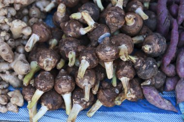 Taze çiğ taro, organik tatlı patates ve gıda pazarında doğal zencefil kökü. Tarım ve besleyici kavramlar ve diyet için sağlıklı sebze seçimi