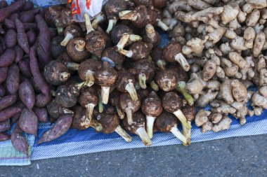 Açık hava pazarında taze taro, zencefil ve mor patates sergisi. Canlı, topraksı, çiğ, organik kök sebze koleksiyonu ve satışa hazır ürünler.