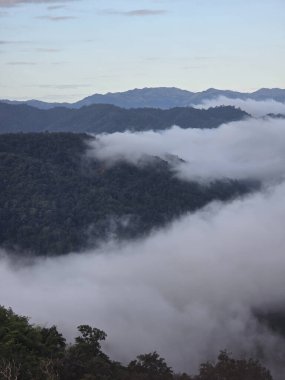 Bereketli yeşil orman ve bulut ve sis dolu vadiyle huzurlu dağ manzarası. Sisli doğa sahnesi huzur ve sükuneti çağrıştırıyor.