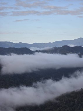 Vadide sis ve bulut denizi olan görkemli dağ manzarası. Sakin, huzurlu doğal orman ve tepeler huzurlu, atmosferik bir sabah yaratıyor.