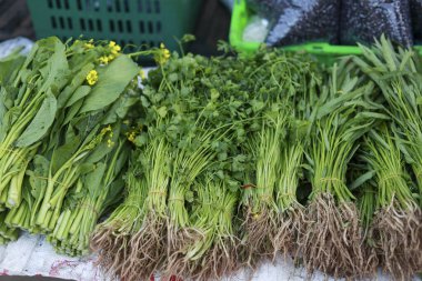 Kökleri açık hava pazarında satılığa çıkarılmış taze sebze demetleri. Bu canlı, sağlıklı, organik yiyecek seçimi çiğ ıspanak ve pişirmek için bitkiyi içerir.