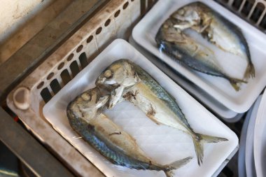 Taze uskumru balığı, beyaz tepside satılmaya hazır deniz ürünleri. Sağlıklı ve besleyici yemekler pişirmek için çiğ besin.