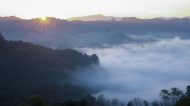 Güneşin doğuşuyla dingin dağ manzarası. Puslu vadi üzerinde altın güneş ışığı. Sakin orman manzarası ve dalgalı tepe Huzurlu ve puslu bir atmosfer yaratır