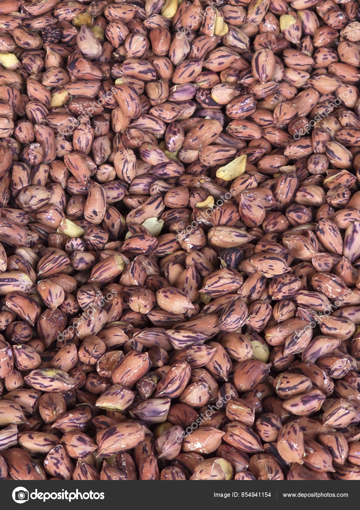 Imágenes de Maní rojo de la piel libres de derechos | DepositPhotos, image size:1200x1700