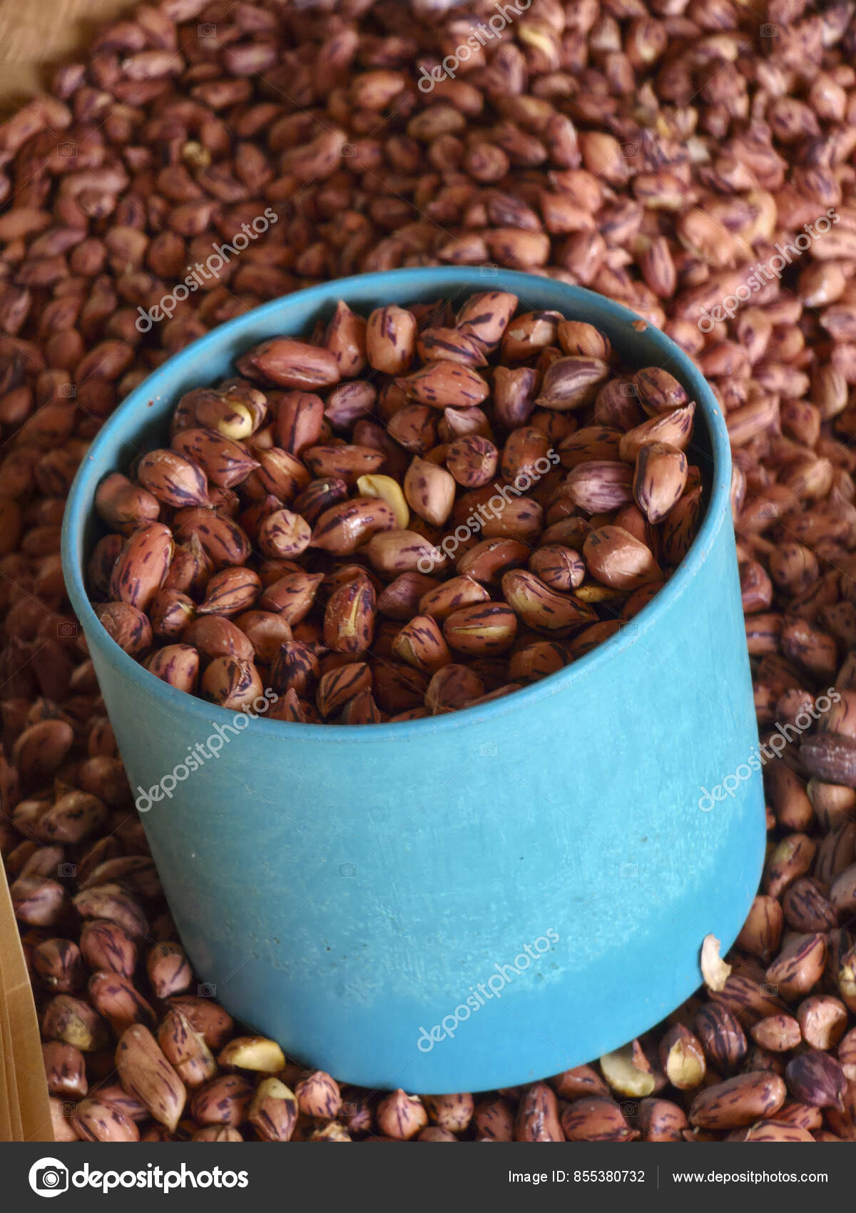 Imágenes de Maní rojo de la piel libres de derechos | DepositPhotos, image size:1200x1700