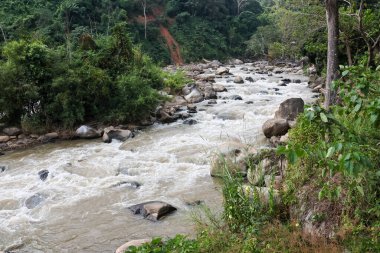 Vahşi nehir yemyeşil ormanda akıyor. Uzak ormanlardaki kayaların üzerinde güçlü çağlayan akıntılar dingin ve doğal bir manzara yaratıyor. Evcilleştirilmemiş doğanın güzel manzarası.