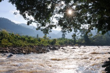 Güneşin ağaçların arasından hızla akan nehrin üzerinde parladığı sakin bir sabah manzarası. Bu doğa sahnesi dağ ormanlarında güneş ışığıyla birlikte güçlü bir akarsu gösteriyor.