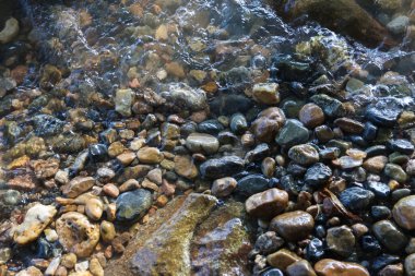 Renkli, ıslak nehir taşı ve pürüzsüz, yuvarlak çakıl taşının üzerine akan temiz suyun huzurlu bir şekilde yakın çekimi. Sakin ve sakin akarsu yatağının doğal arka planı
