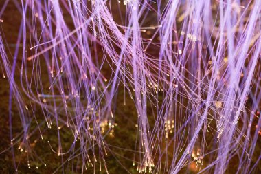 Mor fiber optik ipliklerle soyut arkaplanı büyülemek ve parlayan altın ışık teknoloji ve iletişim için dinamik, geleceksel ağ bağlantısı kavramı yaratmak