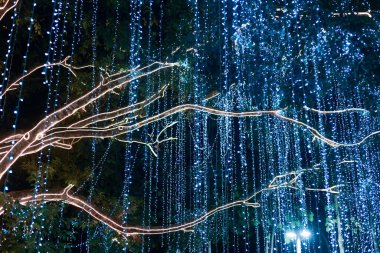 Işığa sarılı parlayan ağaç dallarıyla büyüleyici bir gece arkaplanı. Dekoratif tatil aydınlatmasının sihirli mavi perdesi açık havada şenlikli ve güzel bir görüntü yaratır.